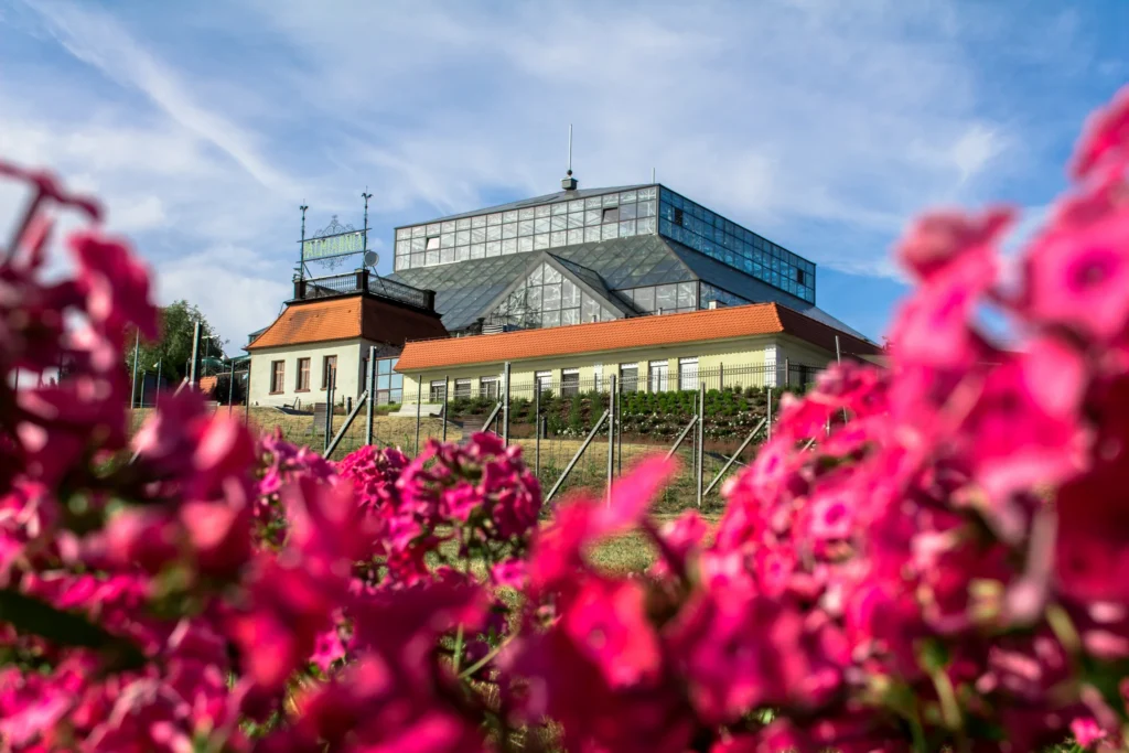 Palmiarnia i Park Winny