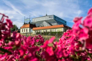 Palmiarnia i Park Winny